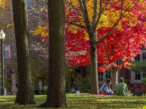 bet36体育投注足彩网大学校园里红色和黄色的秋天的树 